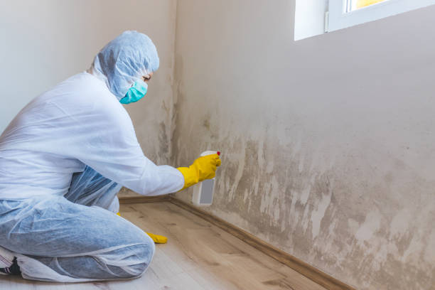 Licensed Crawl Space Mold Removal service in Newport, TN - WQB Mold Removal