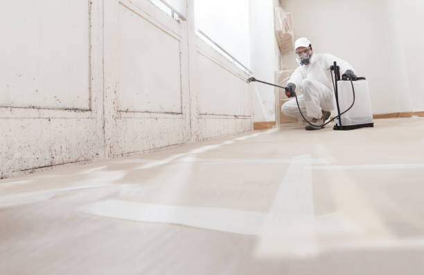 24/7 Emergency Crawl Space Mold Removal experts in Newport, TN