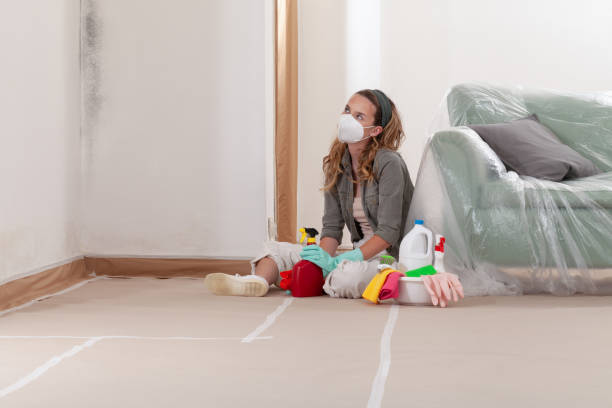 Reliable Crawl Space Mold Removal contractor in Newport, TN by WQB Mold Removal