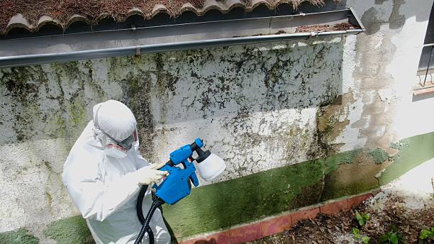 Top rated local Crawl Space Mold Removal specialists in Newport, TN